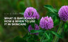 What is Bakuchiol? How & When to Use It in Skincare